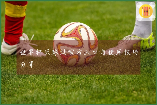 世界杯买球站官方入口与使用技巧分享