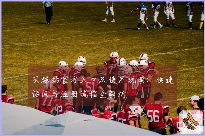 买球站官方入口及使用说明：快速访问与注册流程全解析