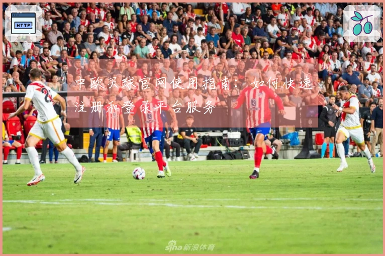 中欧买球官网使用指南：如何快速注册和登录平台服务