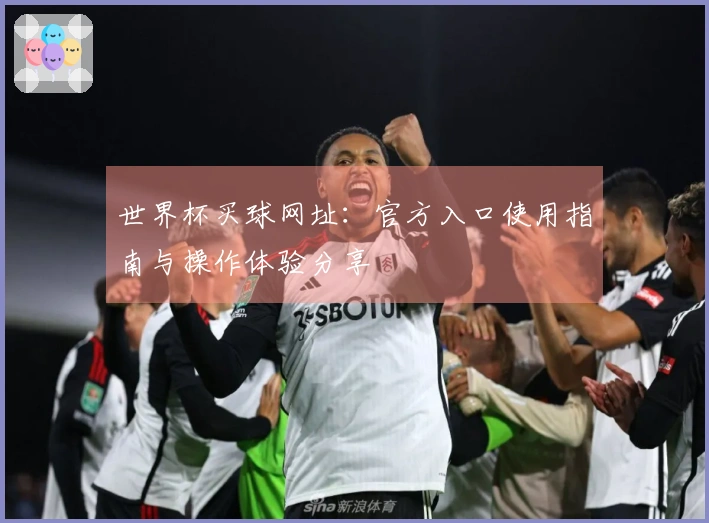世界杯买球网址：官方入口使用指南与操作体验分享