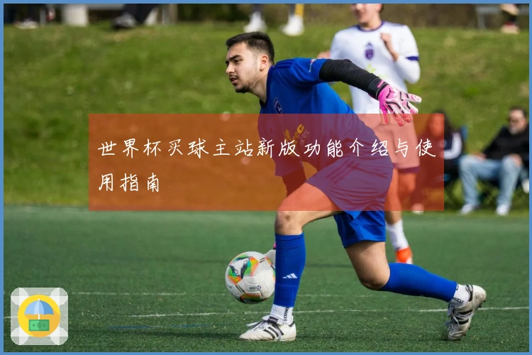 世界杯买球主站新版功能介绍与使用指南