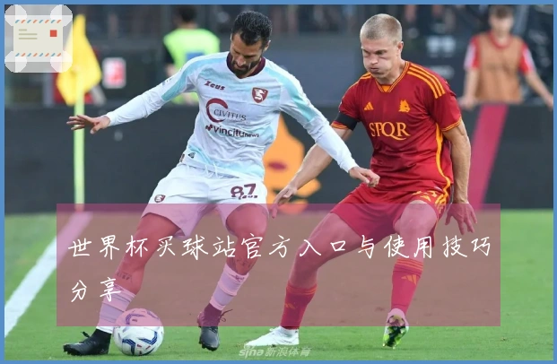 世界杯买球站官方入口与使用技巧分享